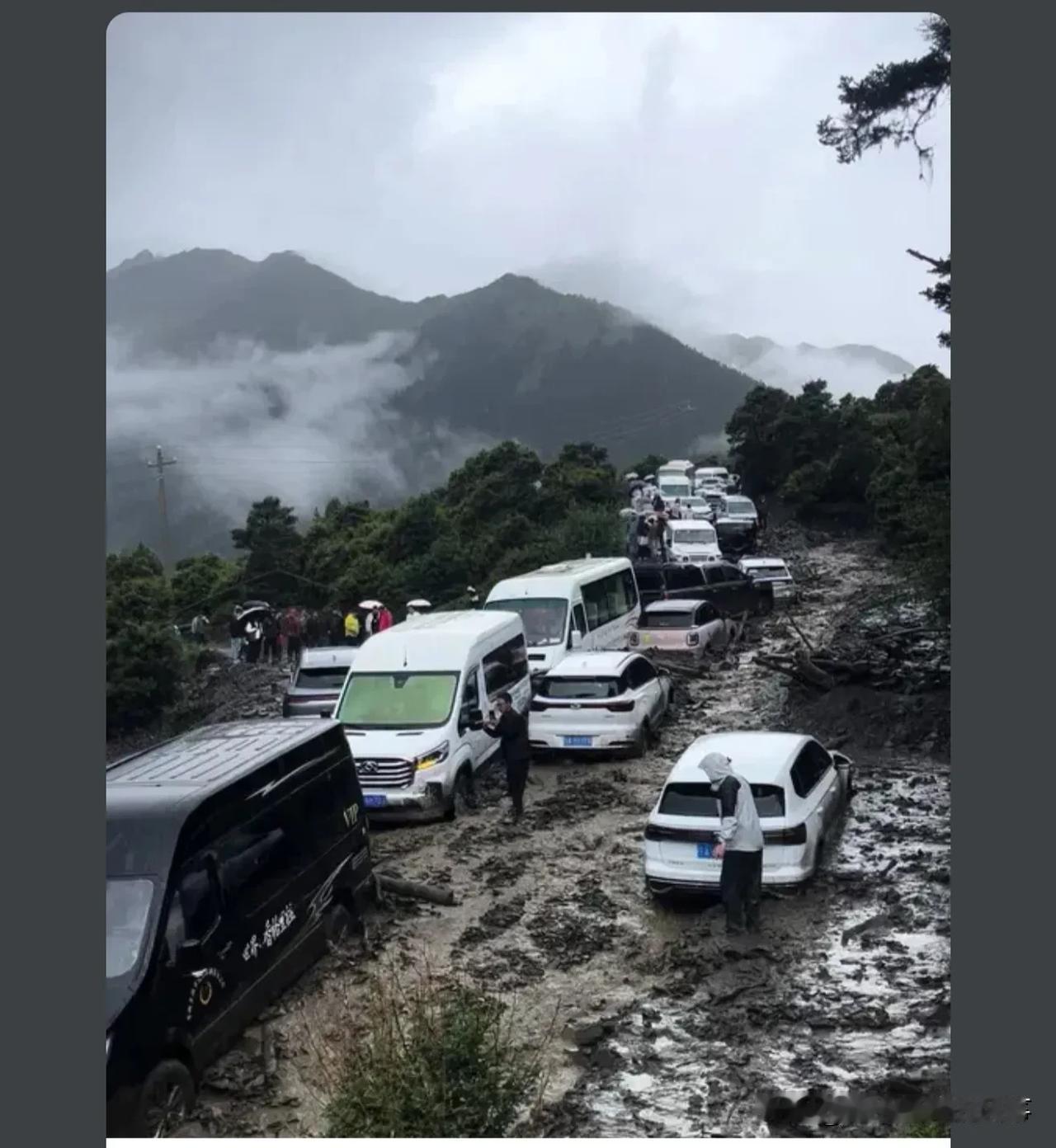 还好没有去，观察了好多天的天气，前几天就发山洪了，居然还都往里面走

 曾仕强先
