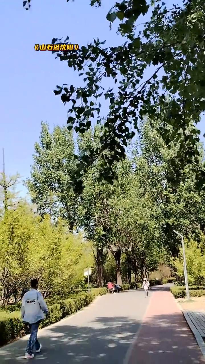 《山石逛沈阳》。
沈阳劳动公园，美景凉影。