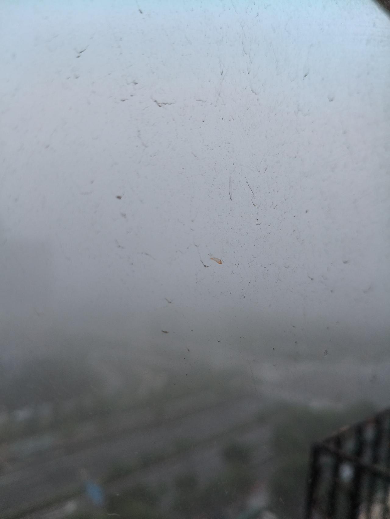 处暑刚过第一天，就迎来了一场弥天大雾。推窗一看，嗬，天地混沌一片，分不清城市乡村