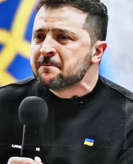 乌克兰议会，又投票了。330票赞成。几乎全票。
 
当地时间2026年1月14日