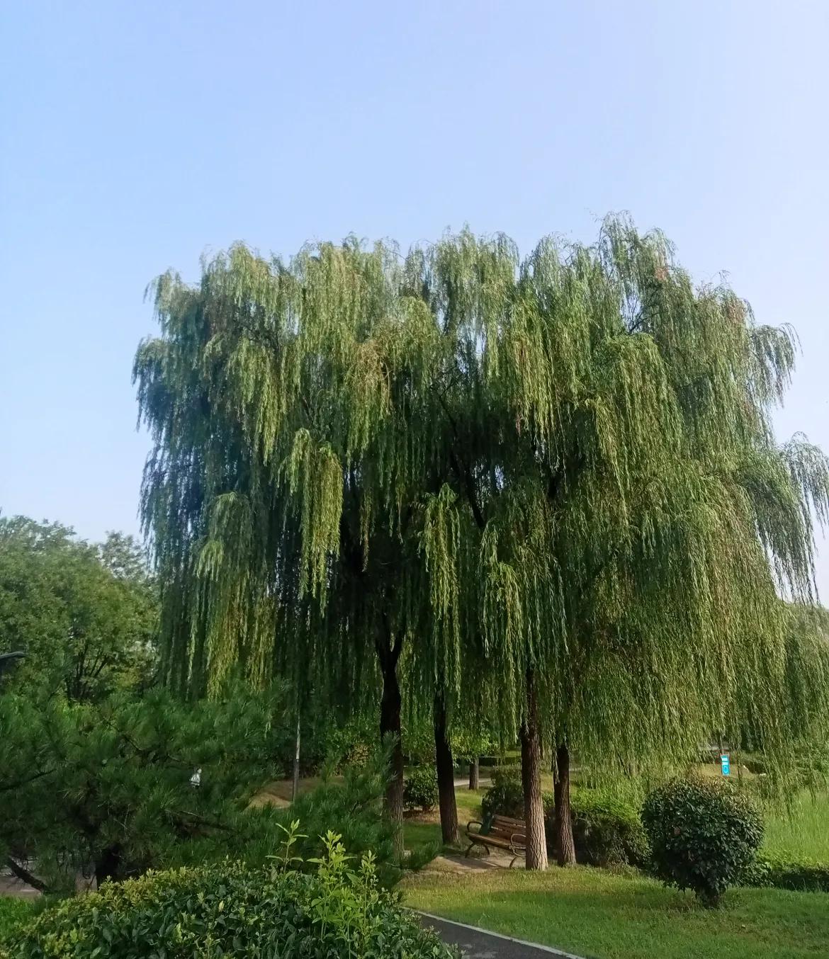 谁都不会开心。放假时，老师可以进行再教育，或者参加社会公益活动。各级教委可以有组