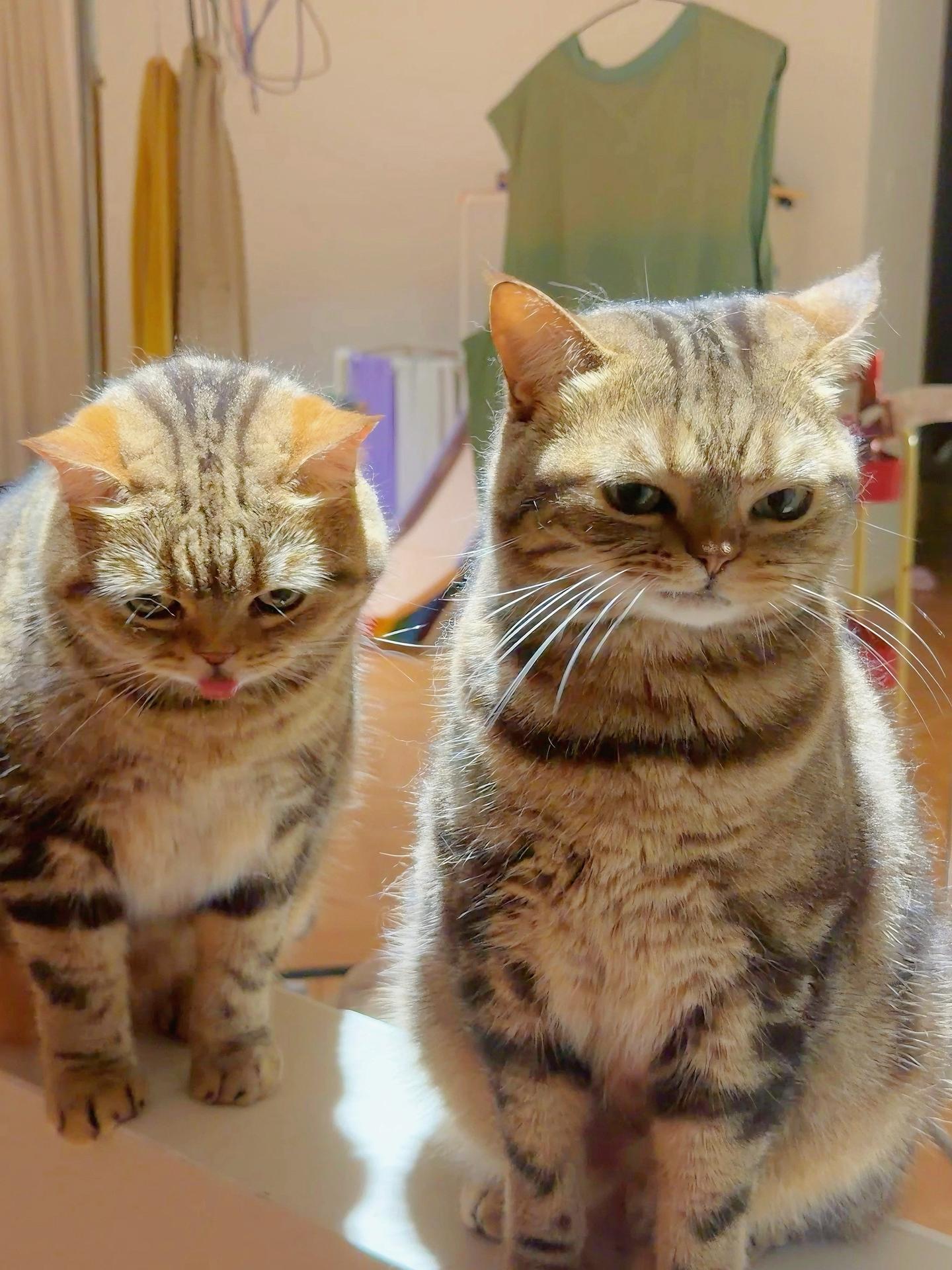 这臭脸摆给谁看呢？