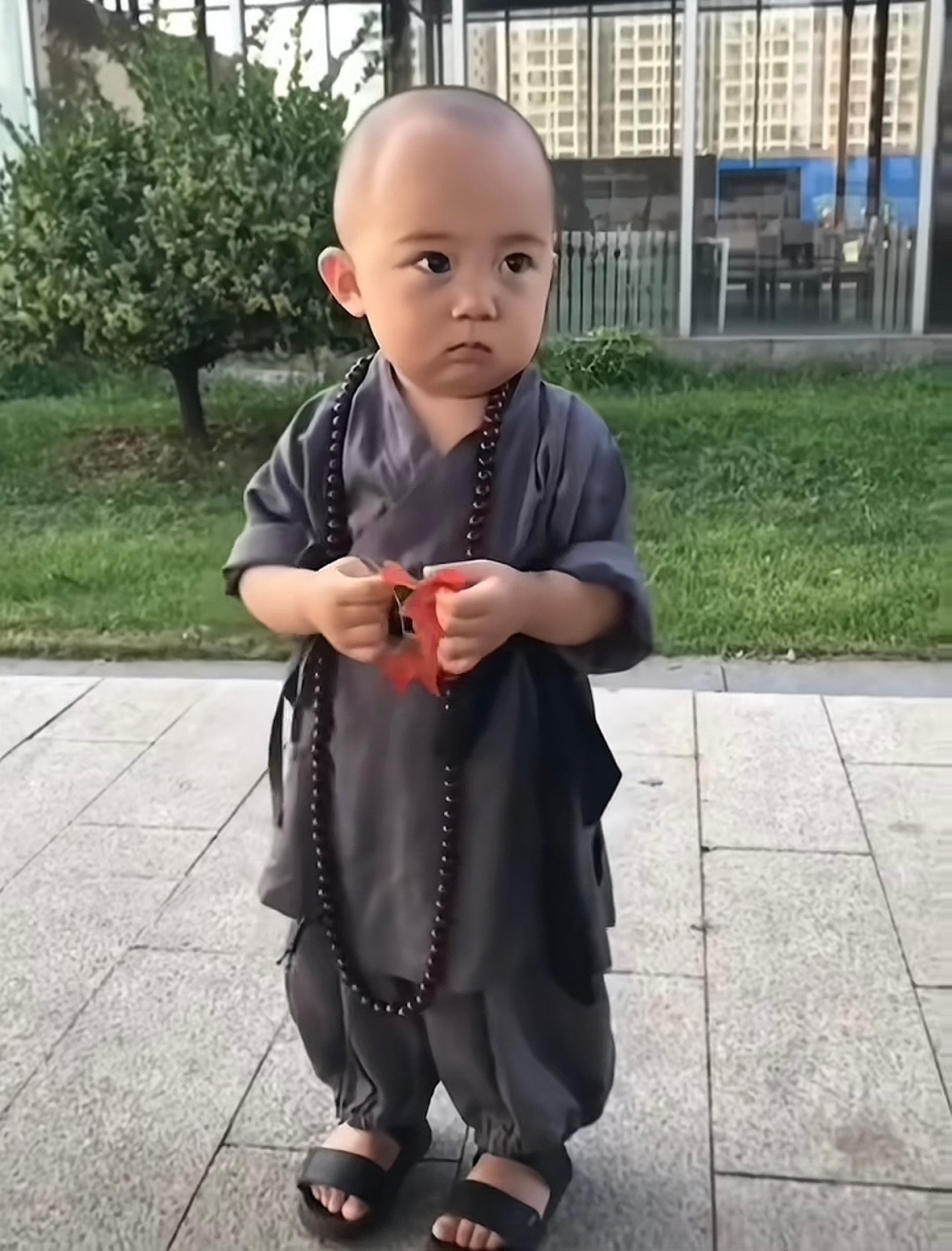 俊俊清冷佛子来的么