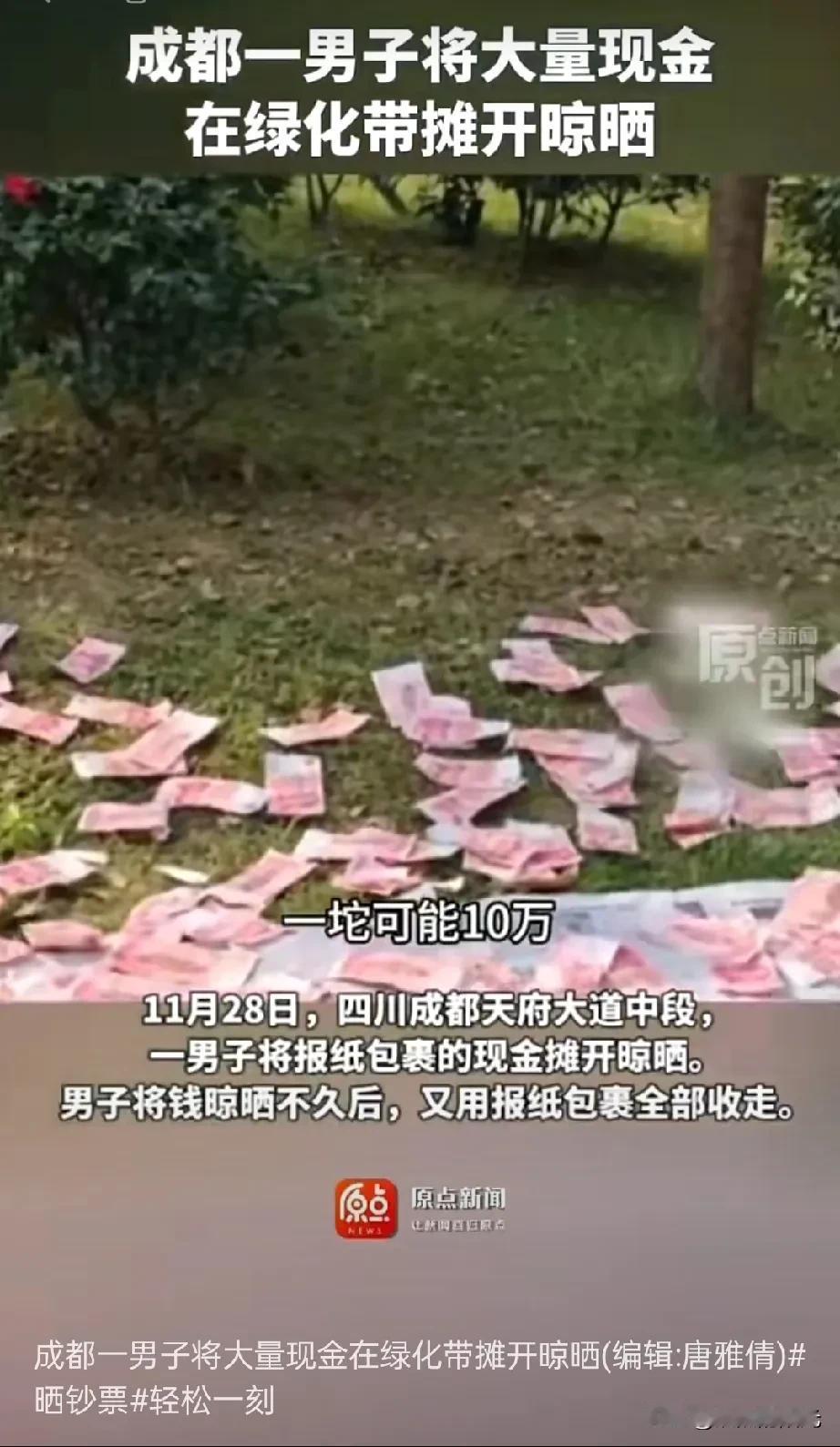 见过朋友圈“晒钱”的，没见过马路边“晒钱”

成都大哥绿化带晒现金，这操作直接给