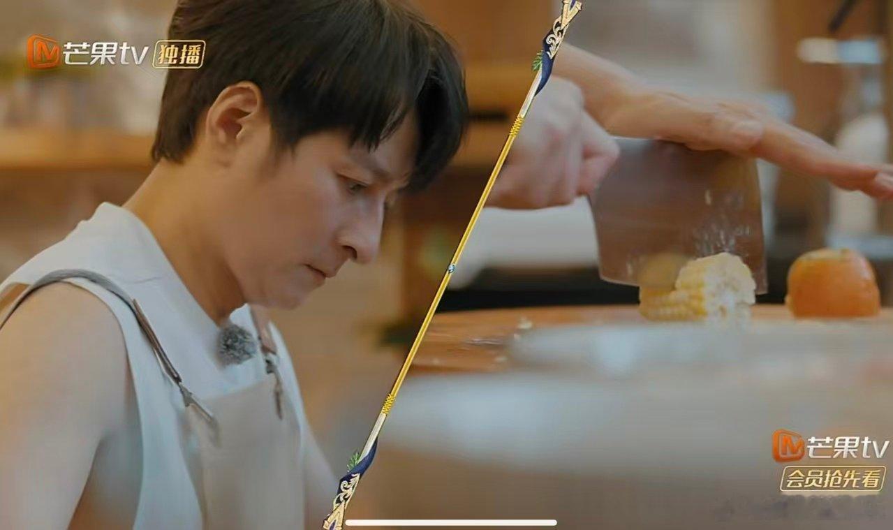 维嘉为录综艺放宽洁癖标准 对自身生活有着超高标准，为配合综艺录制主动放宽底线，迁