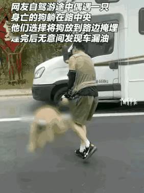 真的太悬了！高速上一个善举，竟意外救了自己一命，这就是好人自带的护身符。
 
