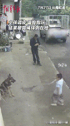 “这下长记性了！”云南一男孩看自家狗子拴着，于是上去不停得挑衅它，岂料，狗子竟然