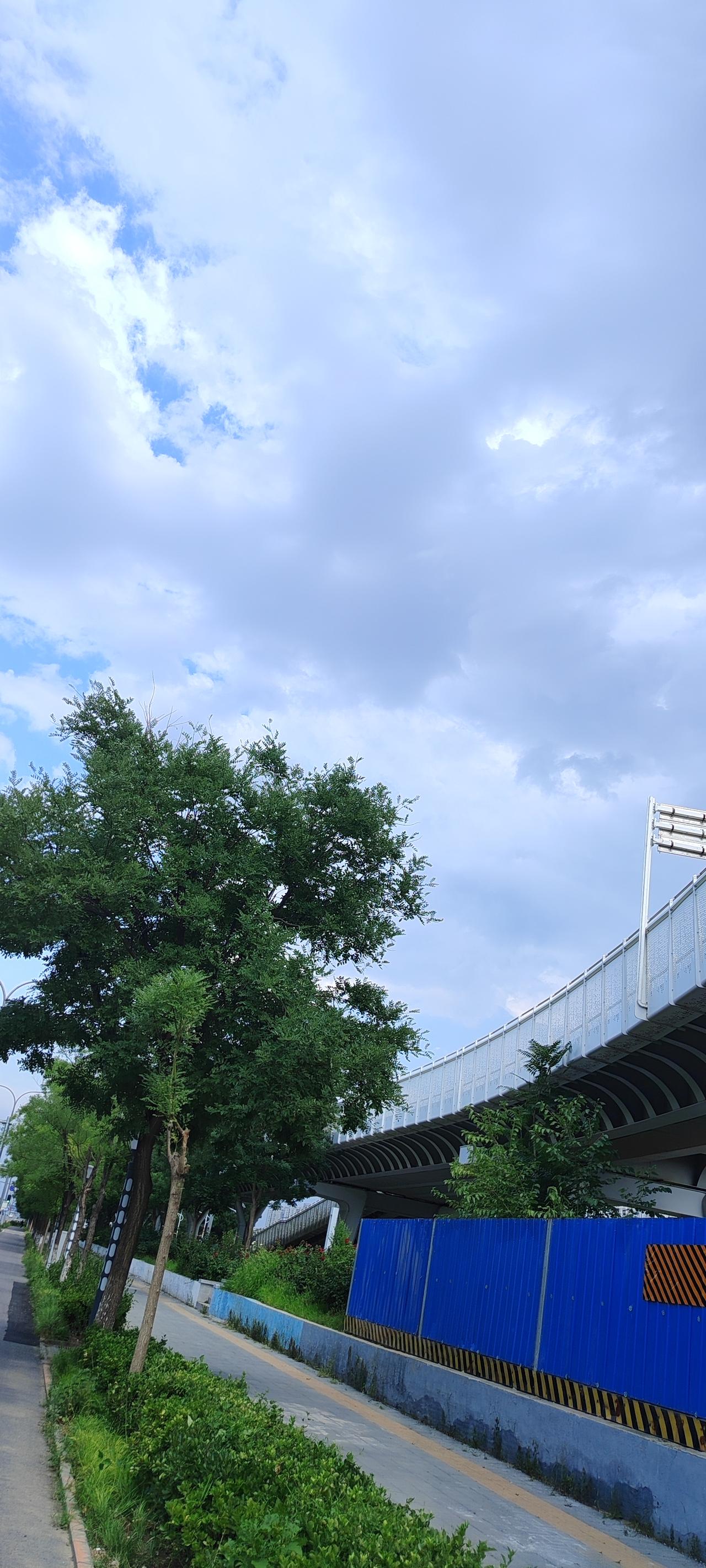 夏日生活打卡季岁月温柔以待