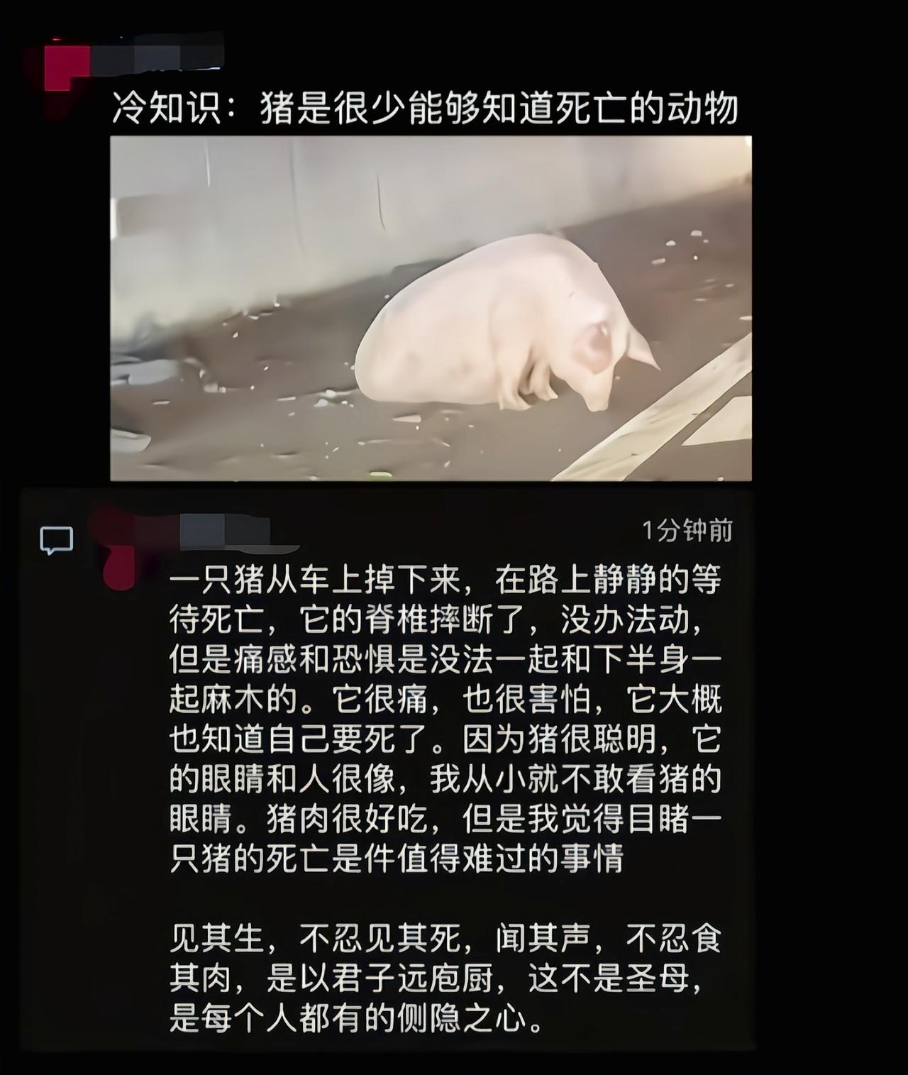 都认为猪很蠢，其实猪的智商要超过猫和狗[6]