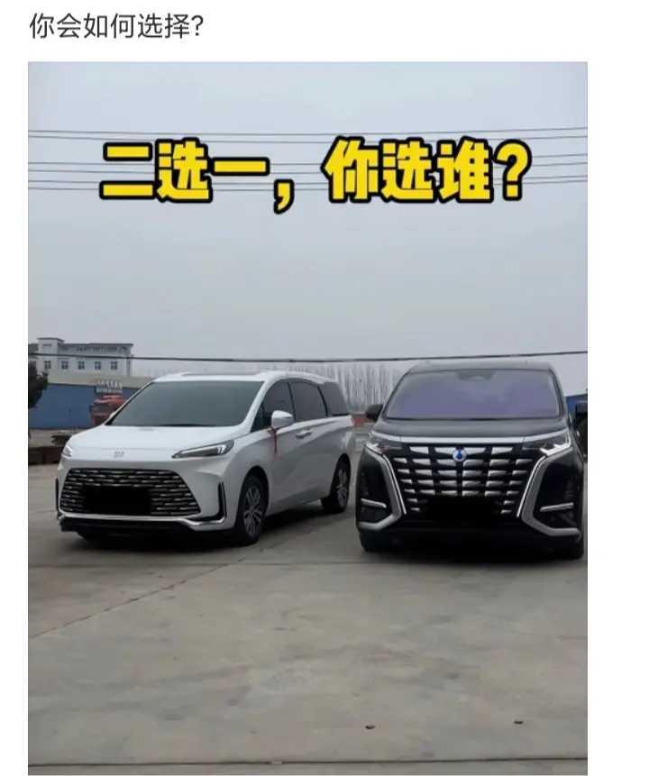 网友：你会选那辆车呢？