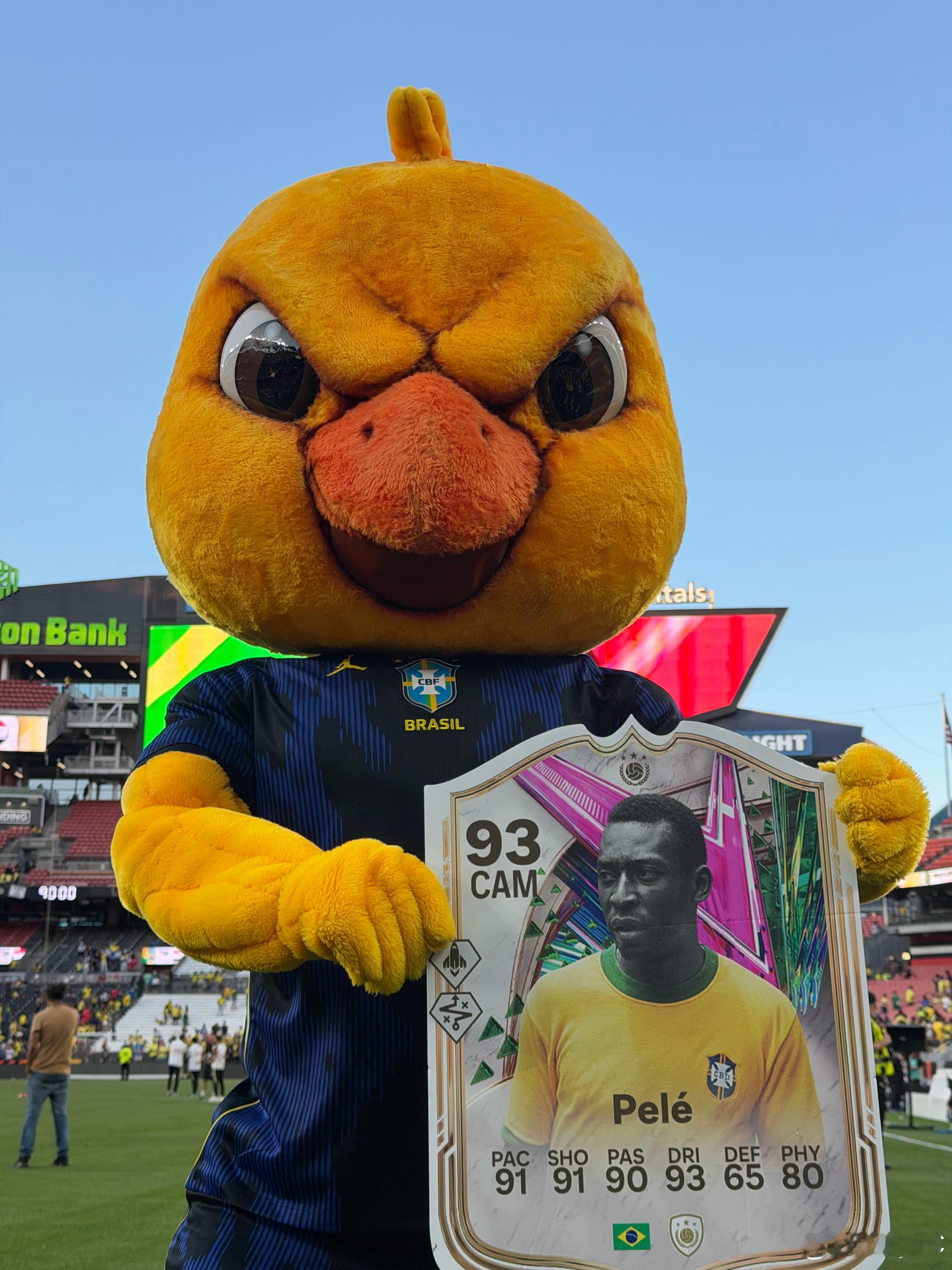Canarinho ✖️ PeleFC26
