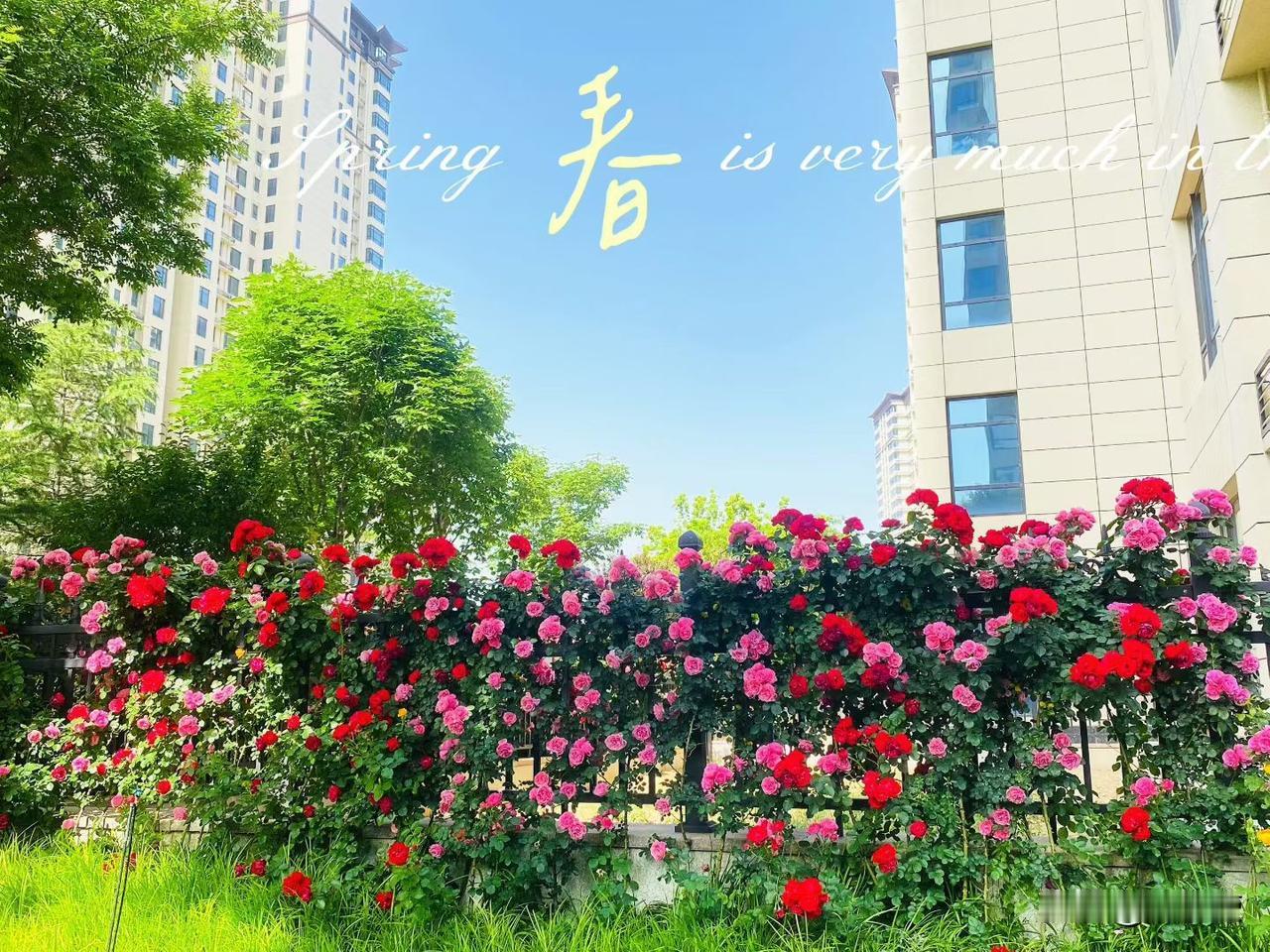 我老家有个年轻人在深圳打工，20多岁就猝亖了，后来村里面也是各种传说说他新盖的楼
