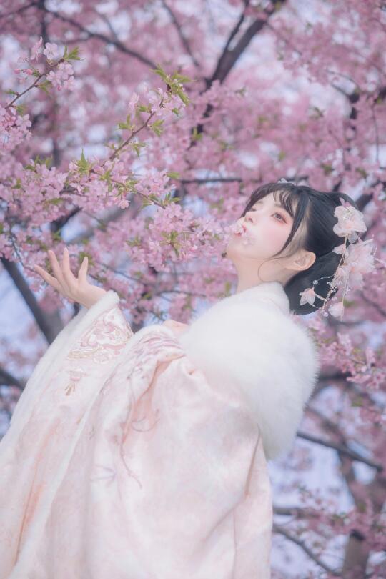 樱花和汉服简直是绝配