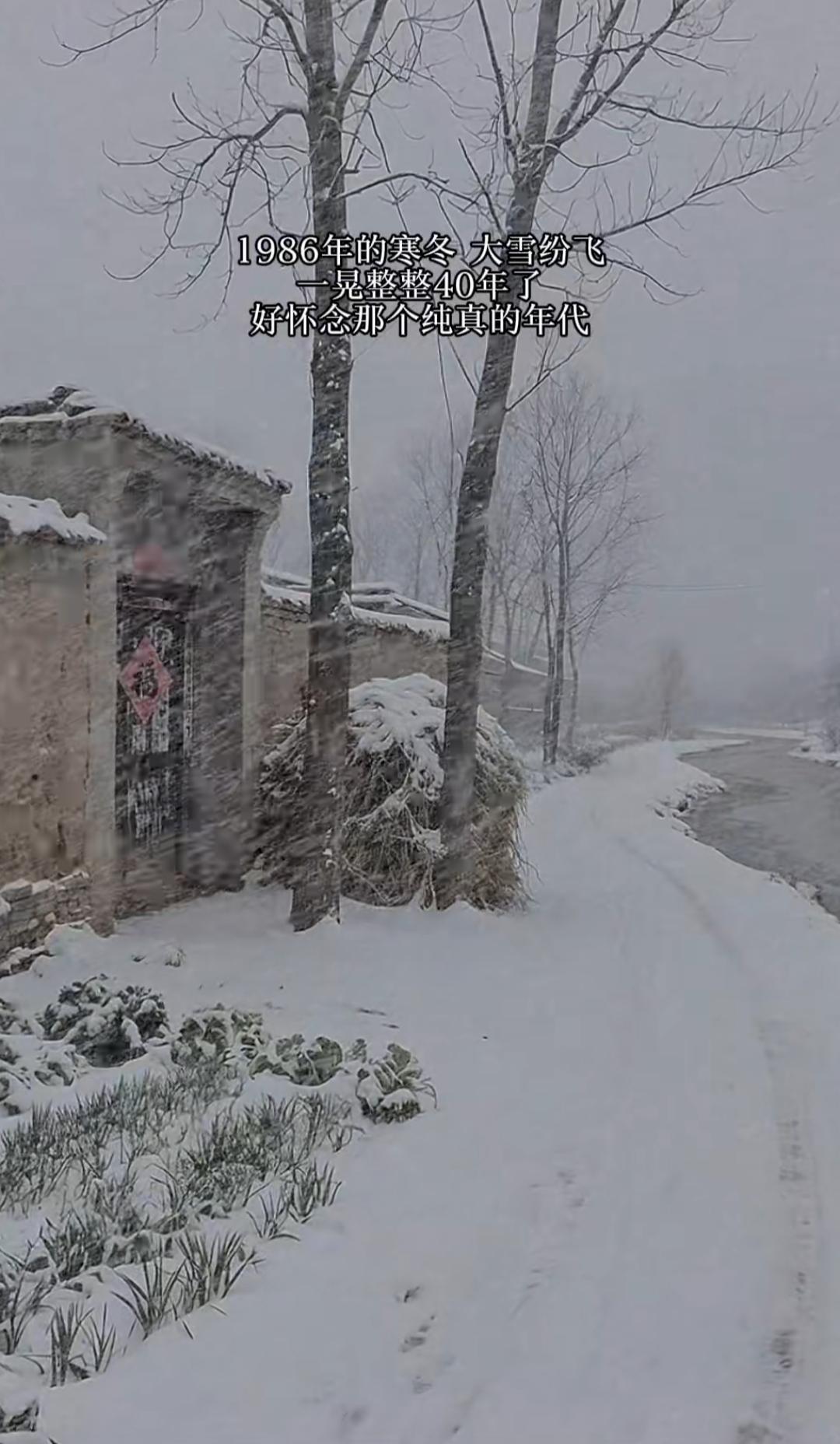雪中古道行，忆往昔岁月长。我是1980年的，出生在山东鲁西南济宁市兖州区的一个小