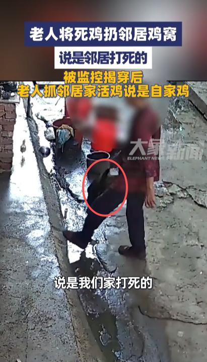 “太缺德了！”9月14日，江西瑞金，一农村老人将自家死鸡扔进了邻居家鸡窝，称鸡是