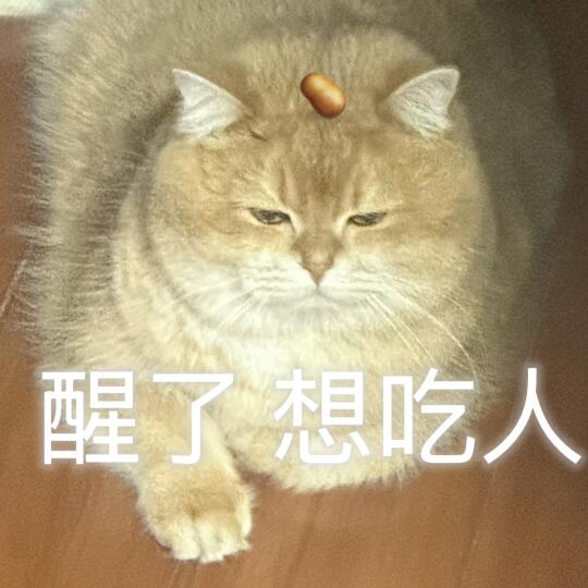🥔表情包 ｜周一醒啦 想吃人