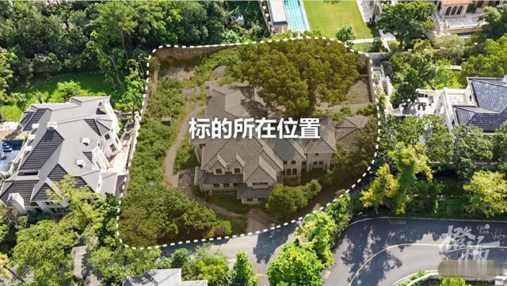 "有钱人的世界看不懂！" 浙江杭州，一男子在某平台，拍自家 629 平法式独栋大
