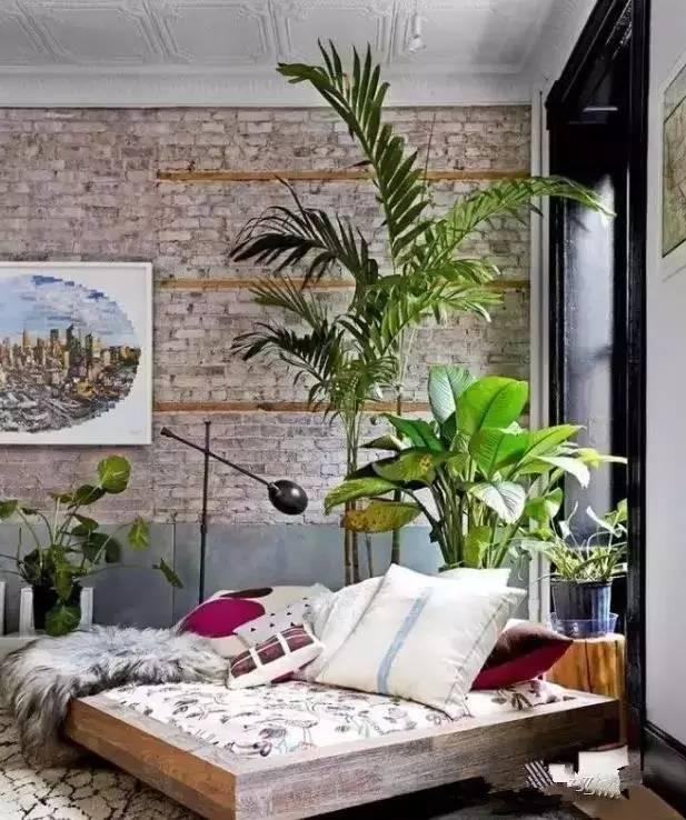 卧室摆满花草，晚上会和人抢氧气吗？长期睡在花房里，对身体好不好
 
很多人都喜欢