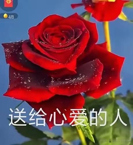 我站在
这温柔的风里
想起了远方的你
托风儿
把思念吹向你
因为你是我的惦记
纵
