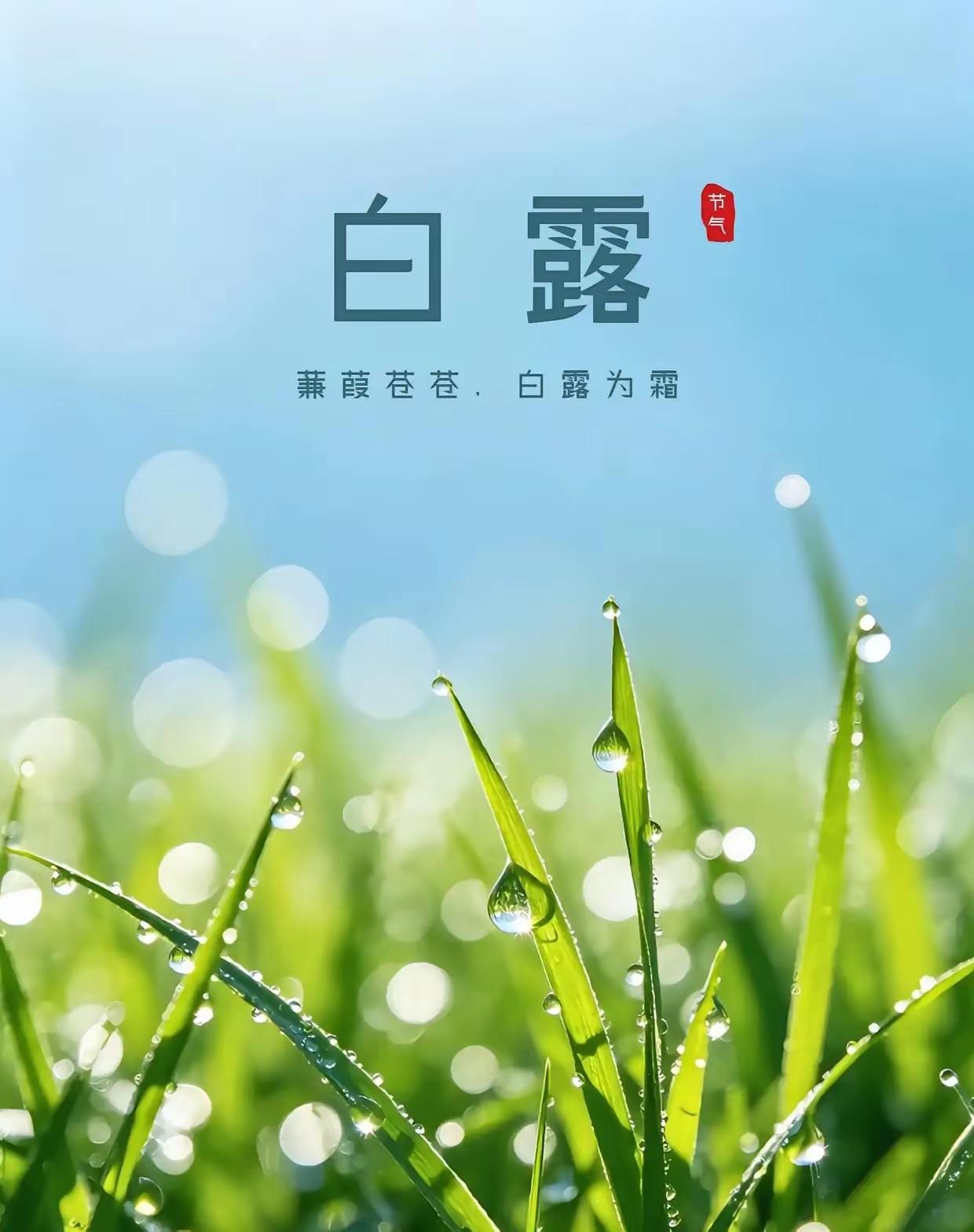 白露秋燥渐起，有些地区有白露节气送礼的习俗。白露送礼讲究润燥养生、秋意雅致、时令