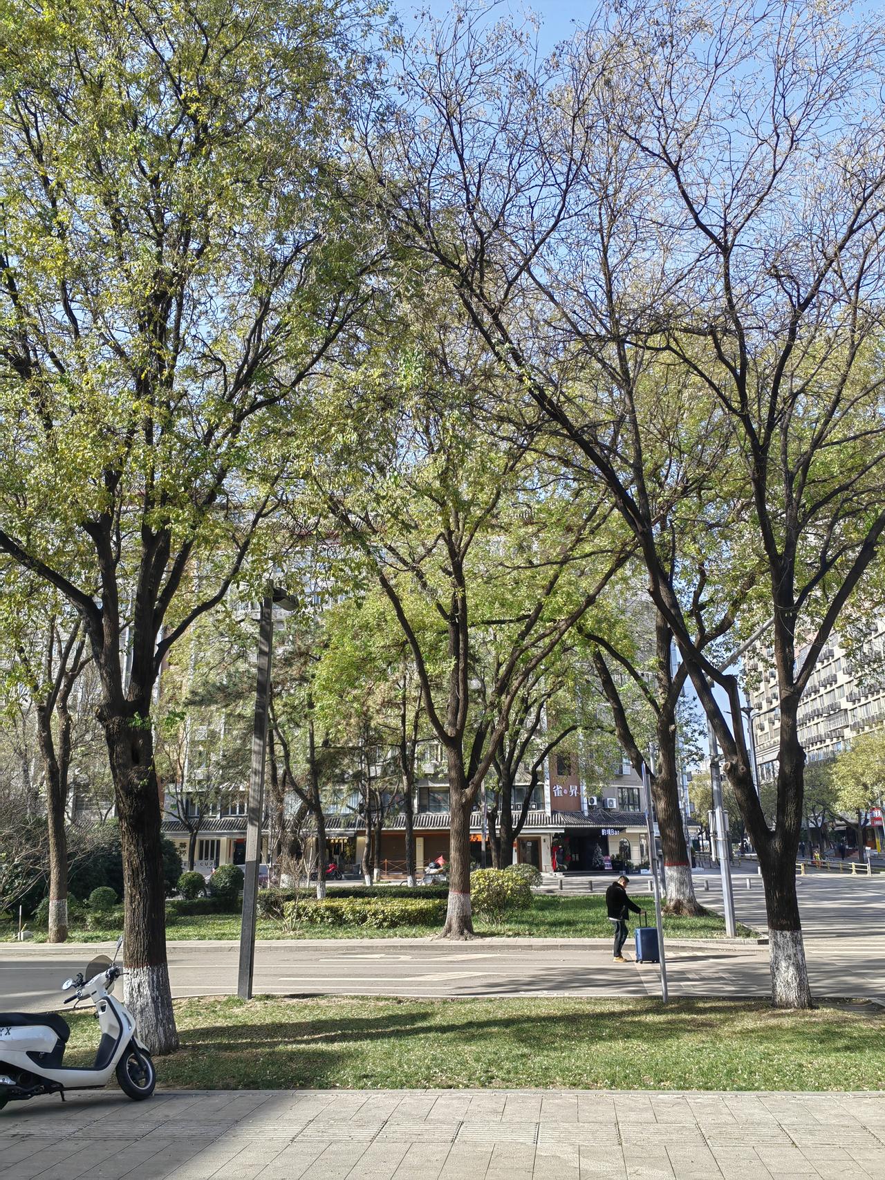 （团队意识是无形的东西，通过确定规则，是化无形为有形的过程。）