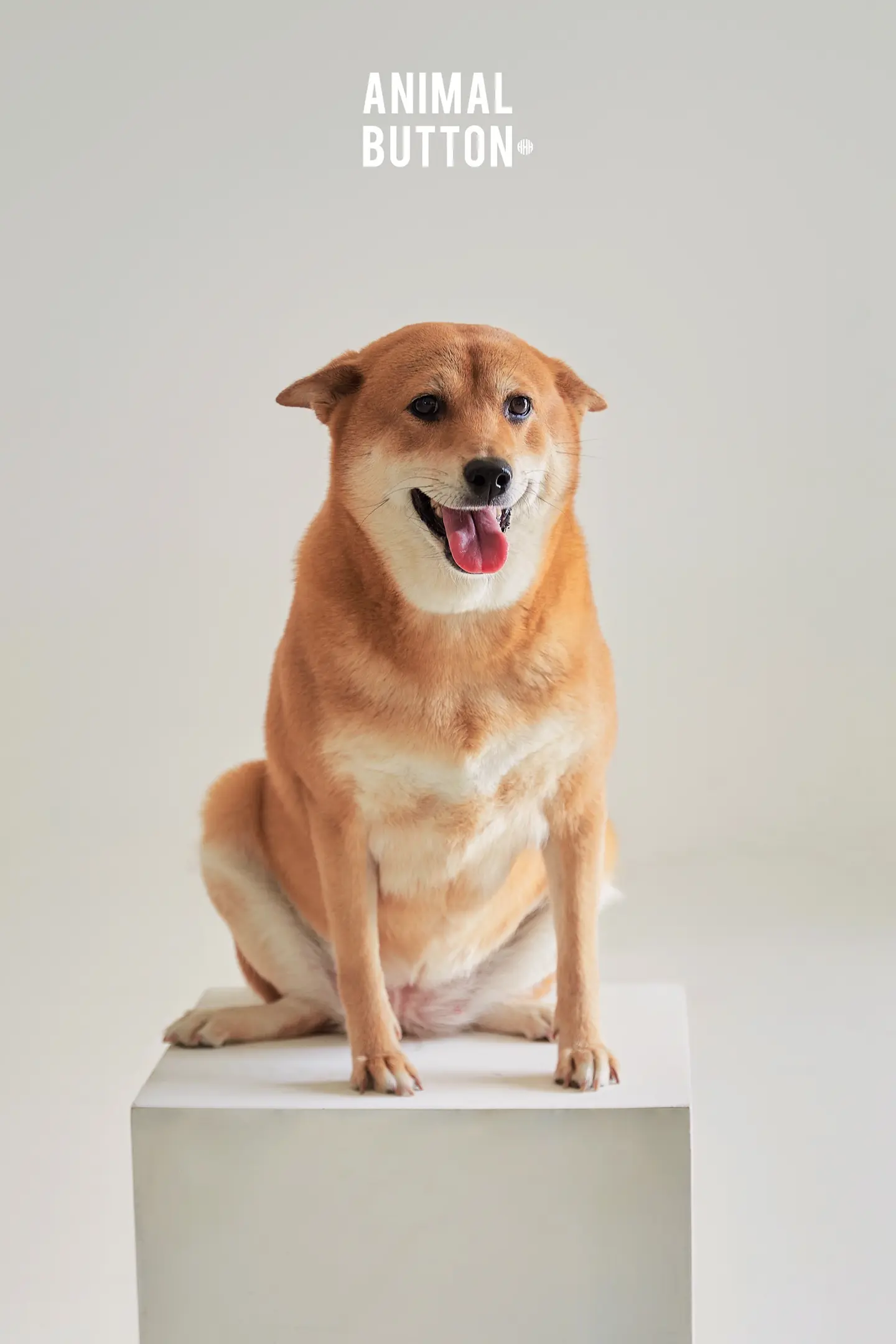 【谢谢你成为我的小狗🐕】