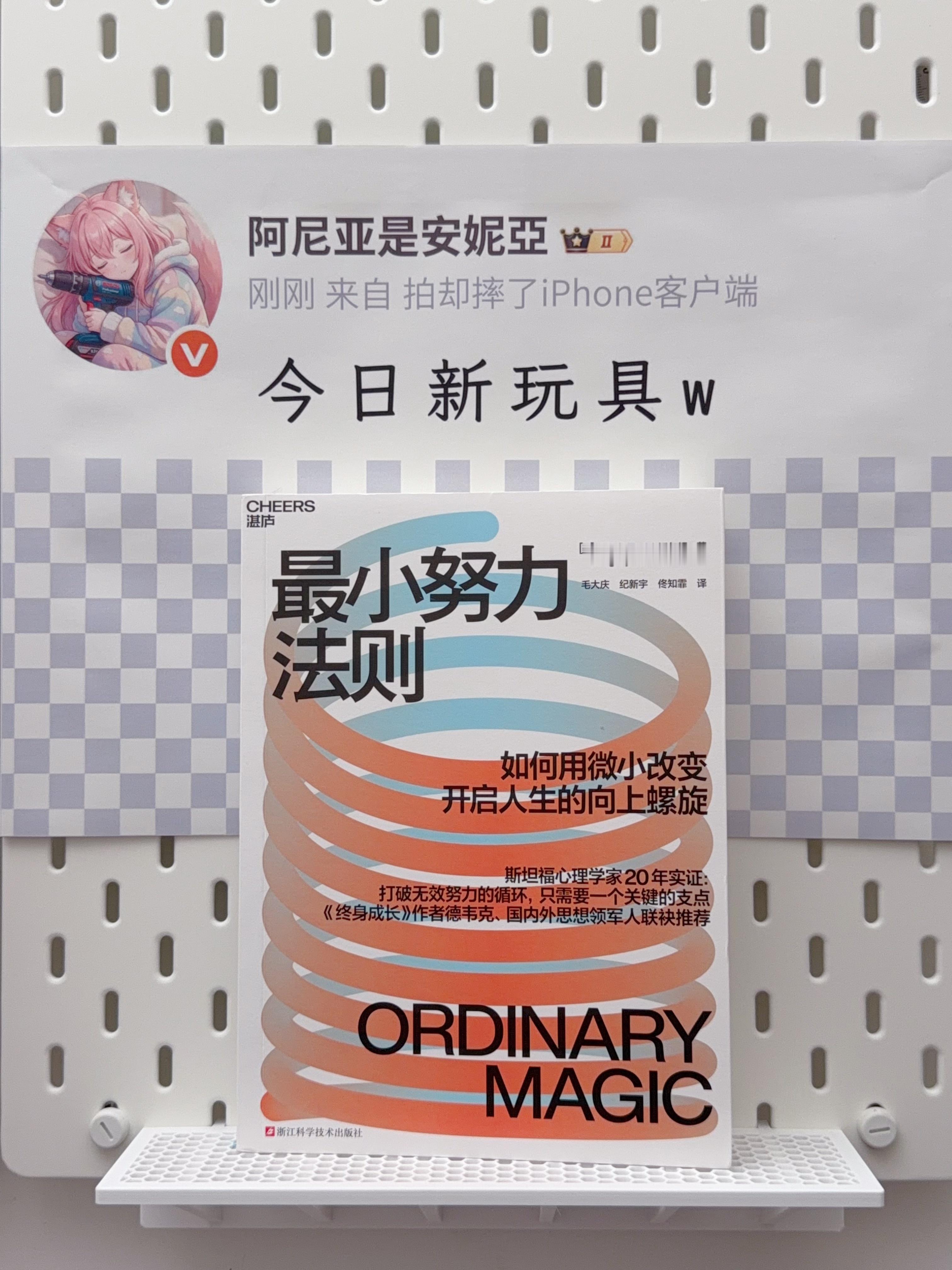 刚到的书，最近打算抽空读。《最小努力法则》这本书仅看封面内容给我的感觉和《福格行