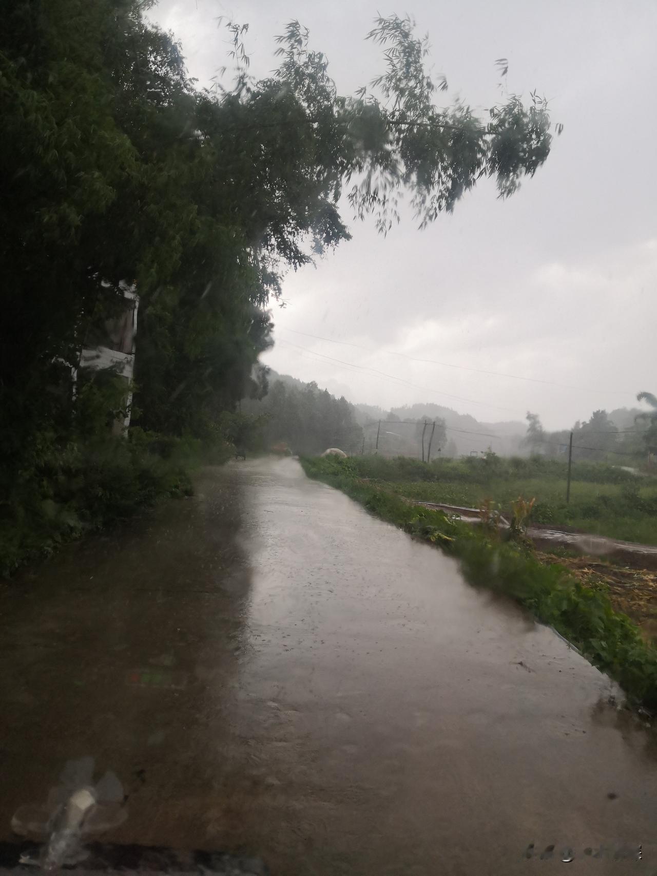 今天又下雨了
8月11日，晚上18点左右，雷公在天空上响个不停，仿佛要把中江县的