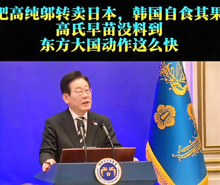 偷帮日本“续命”彻底翻车！韩国自作聪明中转钨粉，被中方一招精准锁死
​​很多人不