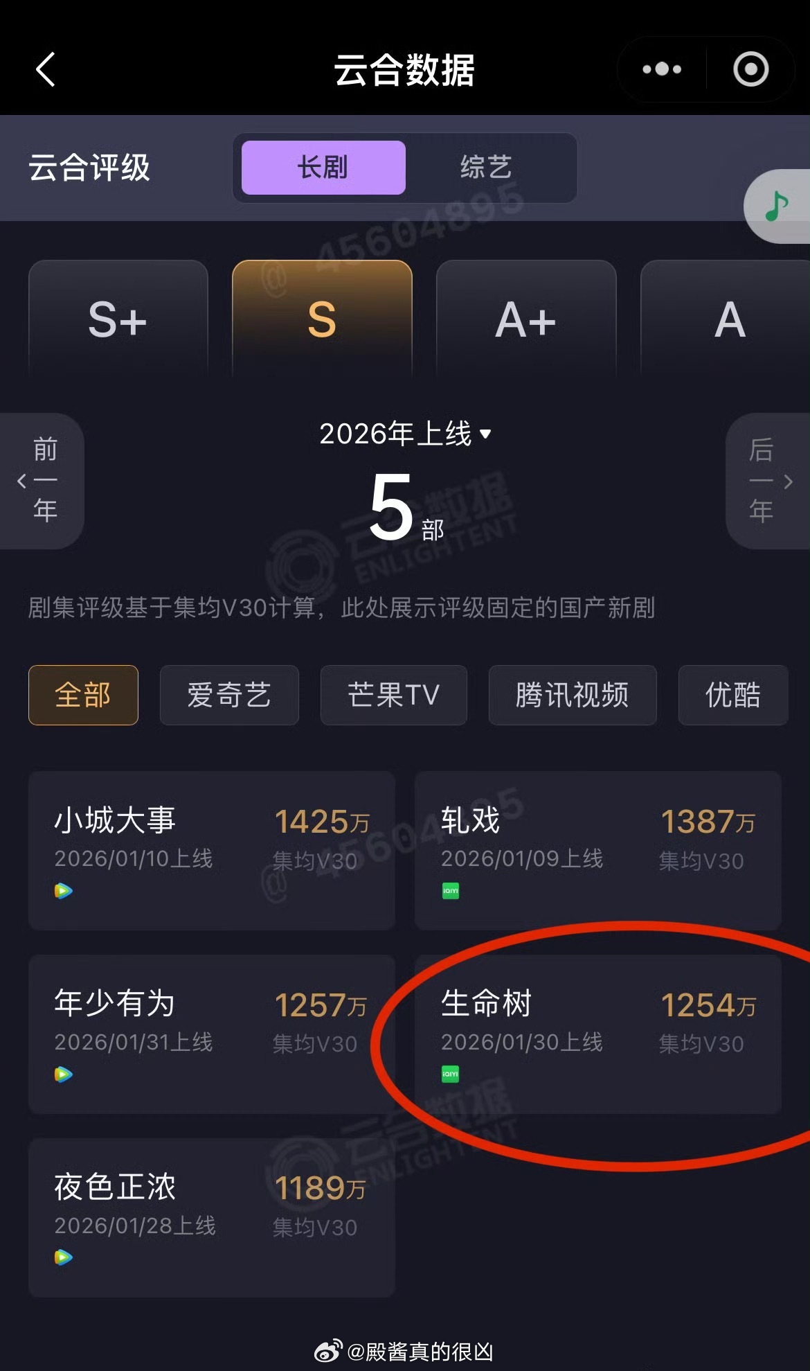 生命树云合集均V30 1254万 