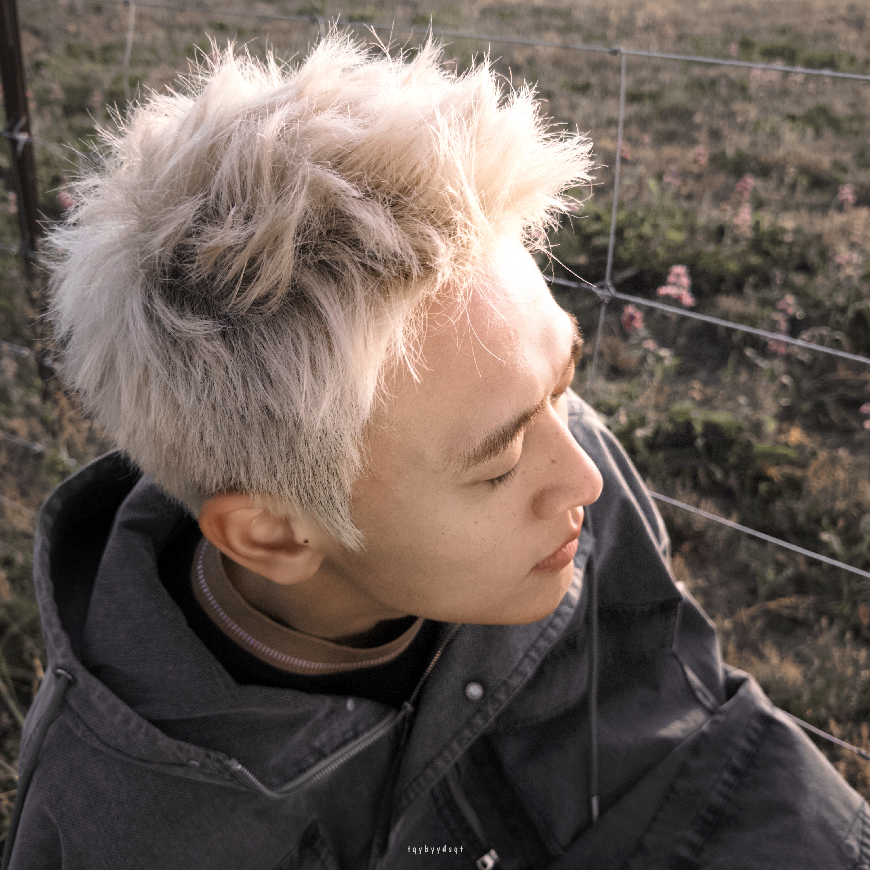 王天辰感受这溢出屏幕的生命力 