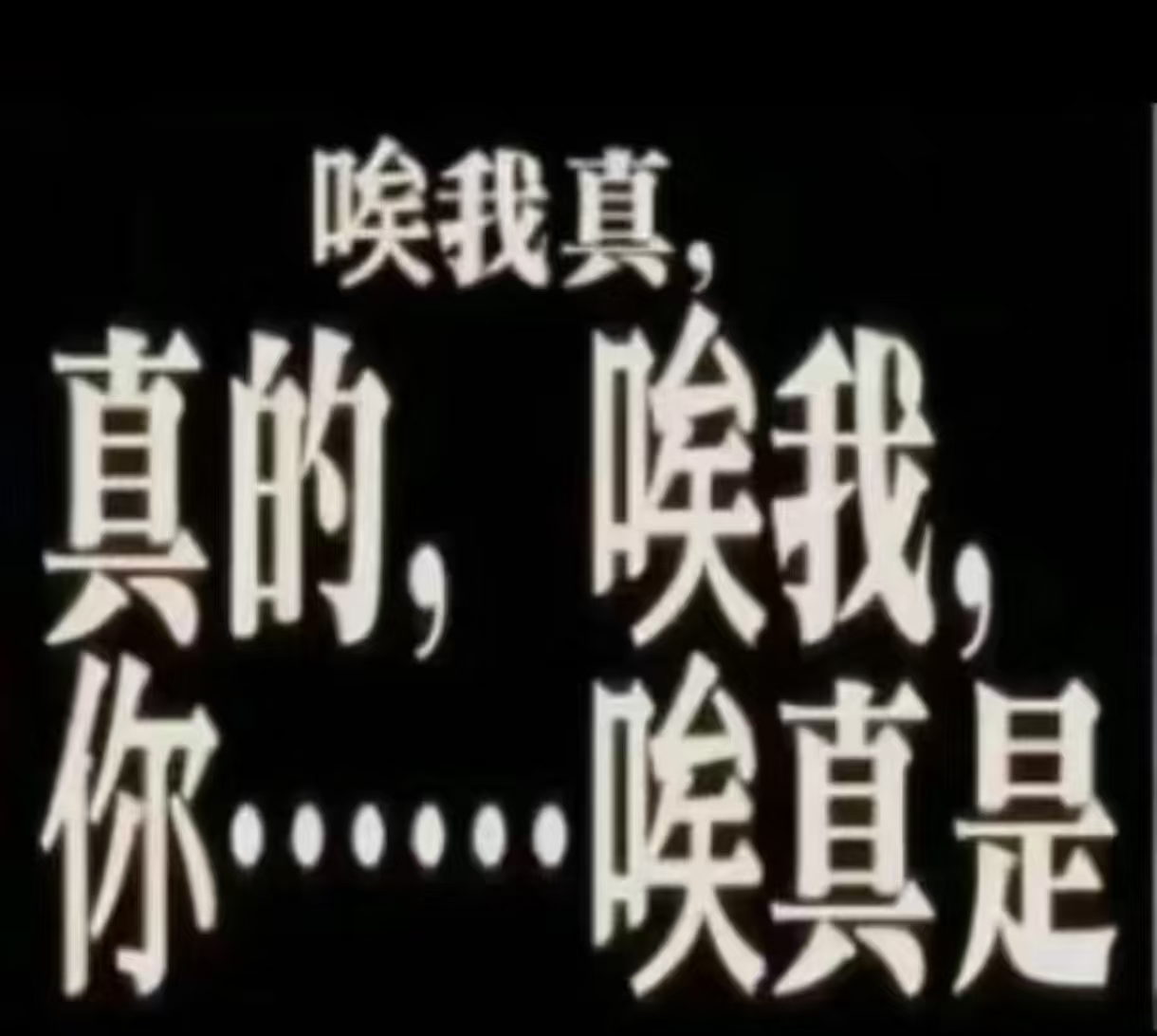 谁提提诶…我张了张嘴一时不知道是该骂还是该先夸还算做个人 