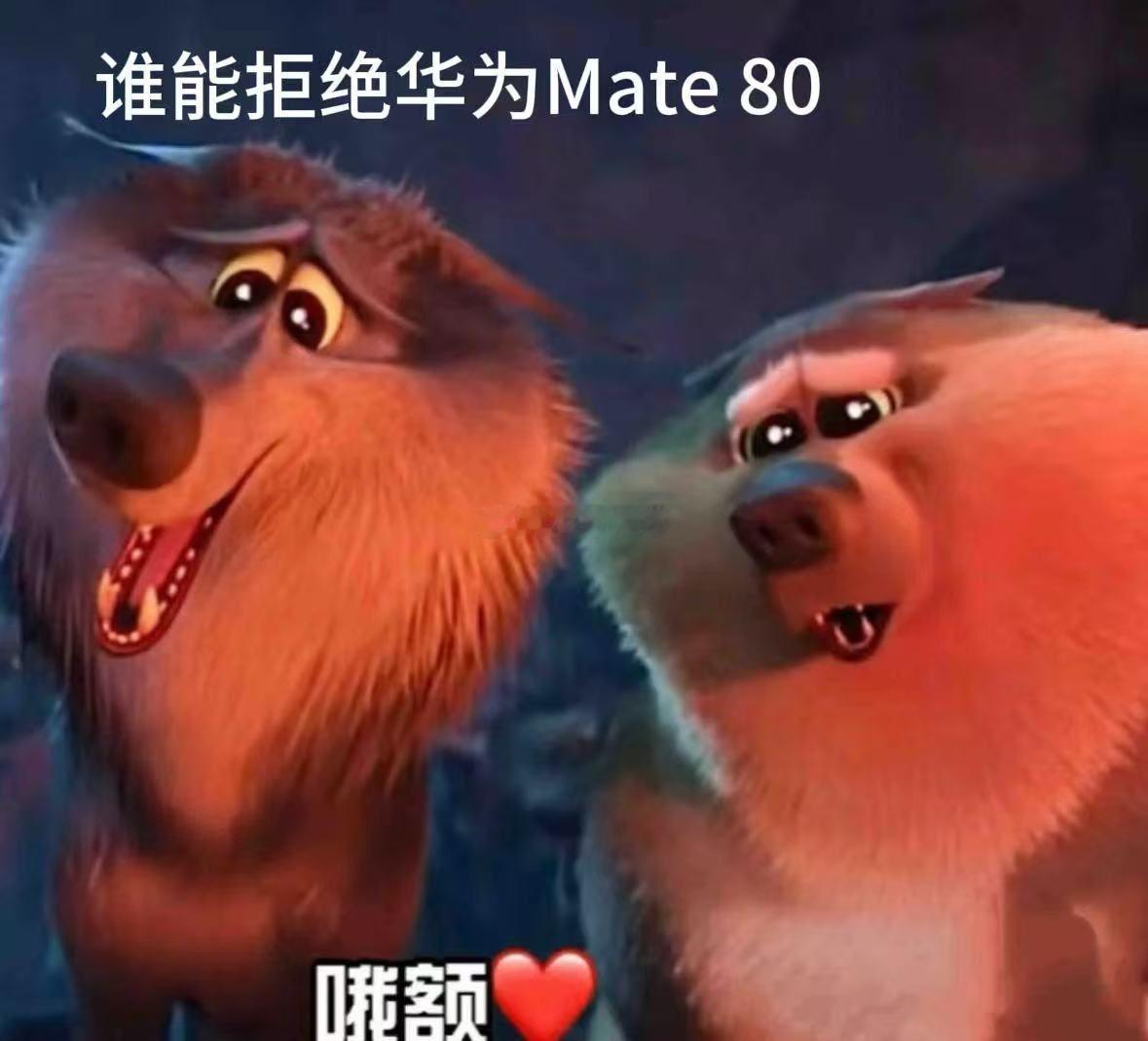 尼格买提Mate80探班春晚后台小尼春晚后台vlog刚出，表情包就这么水灵灵出炉