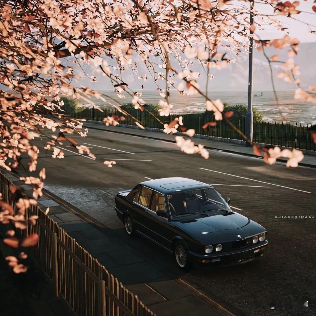 父母老了，少和他争辩
……
今天，又忍了一肚子气。
事情是这样的：

我儿子定婚