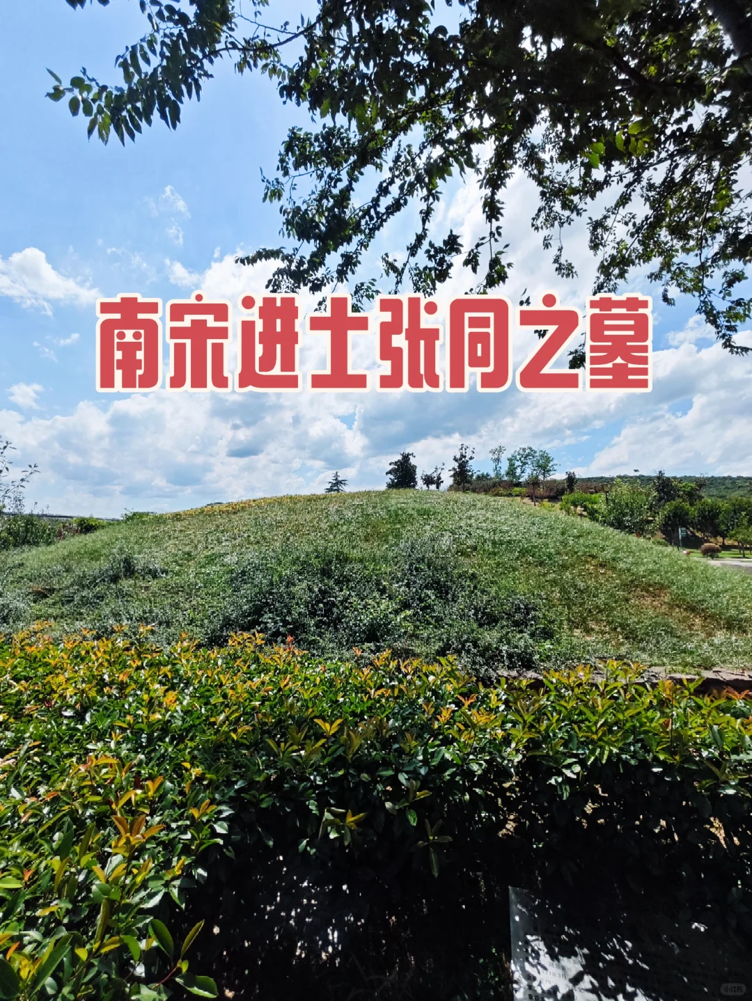 【南京访古】南宋进士张同之墓