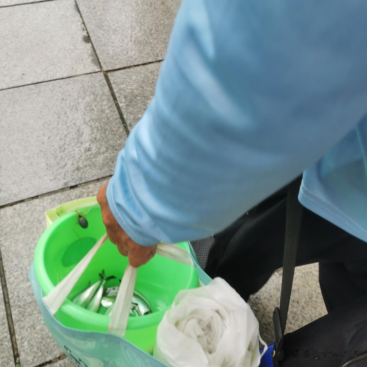 今天早上坐公交车，看见一位大爷，早上五点多钟，坐公交车去东港钓鱼，他说刮大风后，