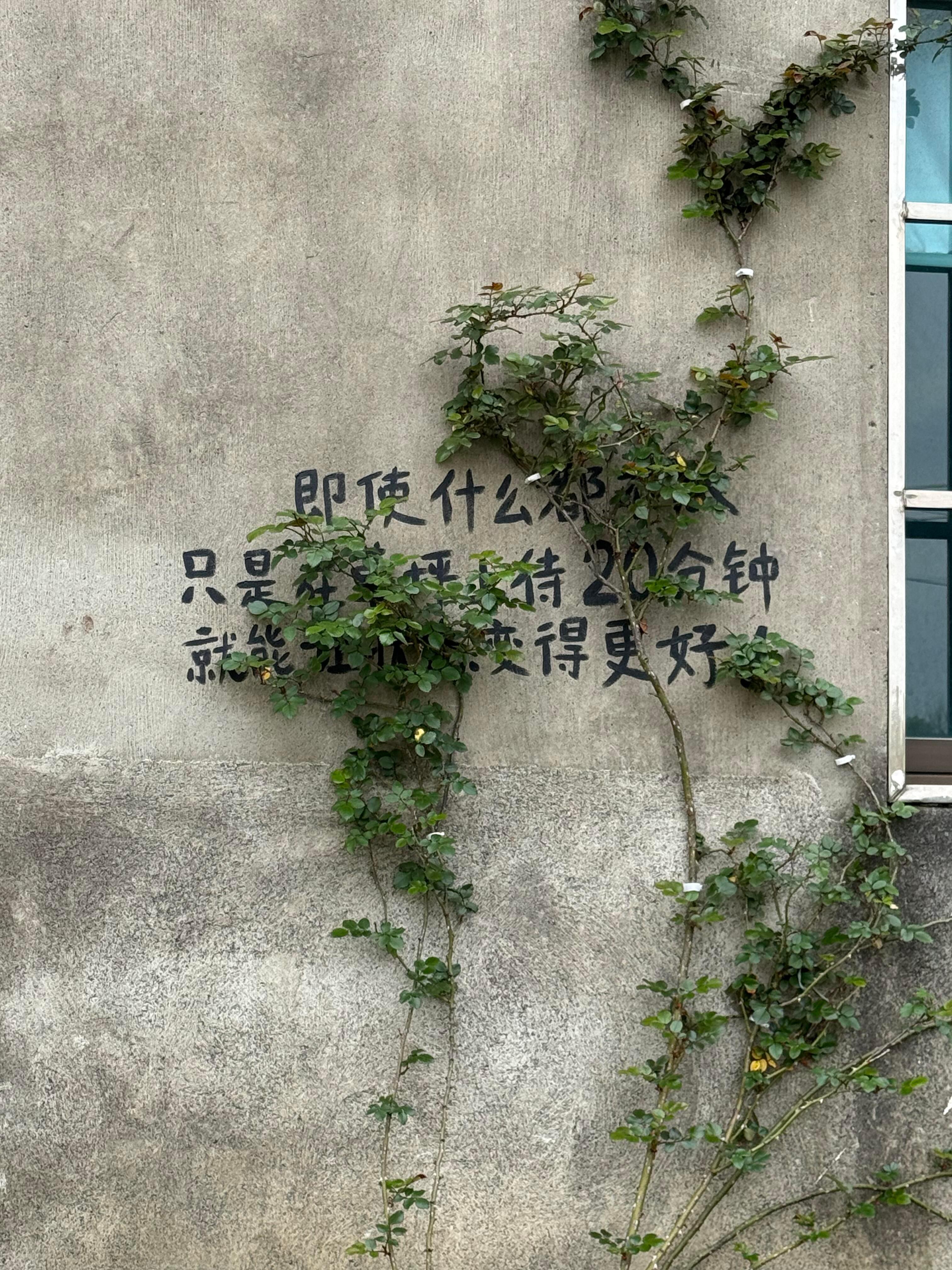 不是摆烂,是给灵魂放个假。 