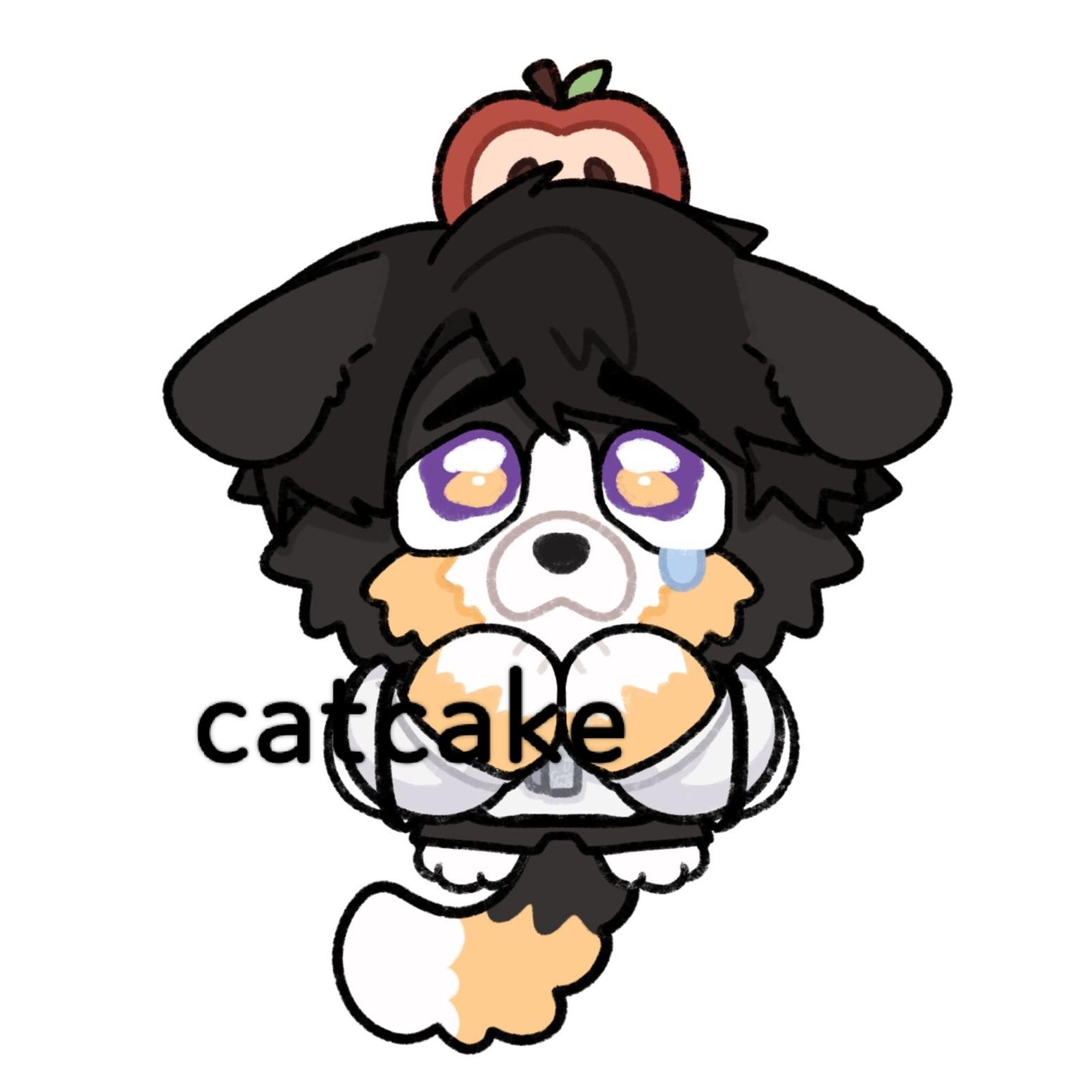 端午安康。摸个夏以狗