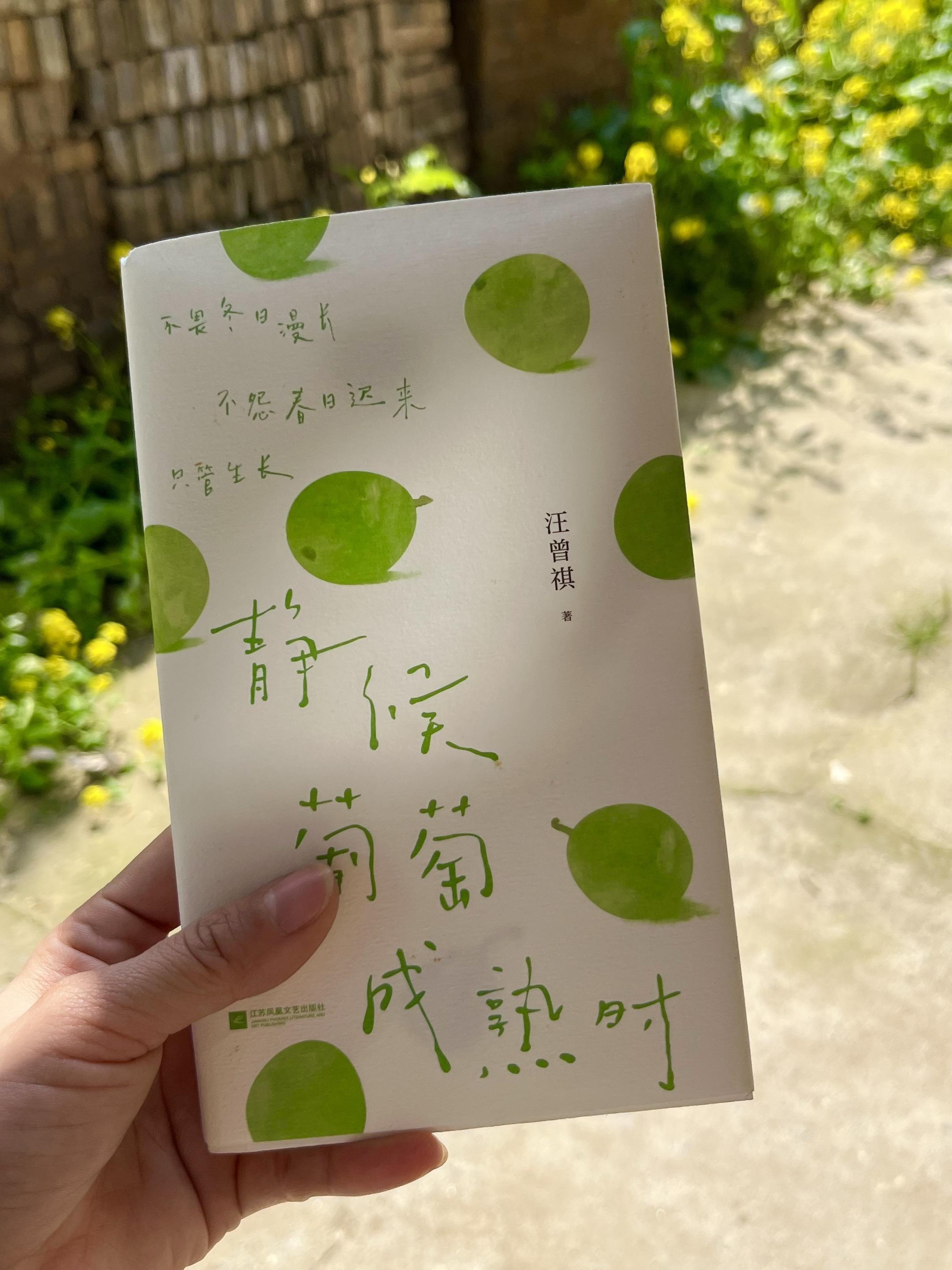 一眼沦陷我真的太太爱这本书了！😭何时葡萄才熟透，你要静候再静候。”