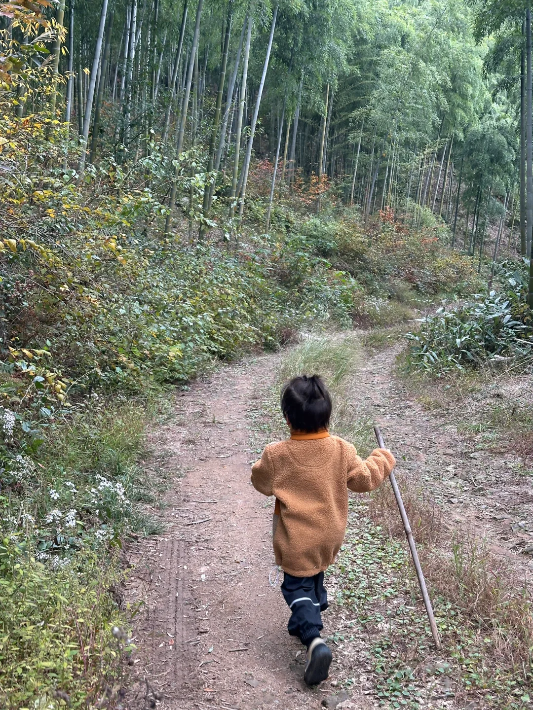 周末跟我4岁大哥去安吉山里徒步捡个秋🍂