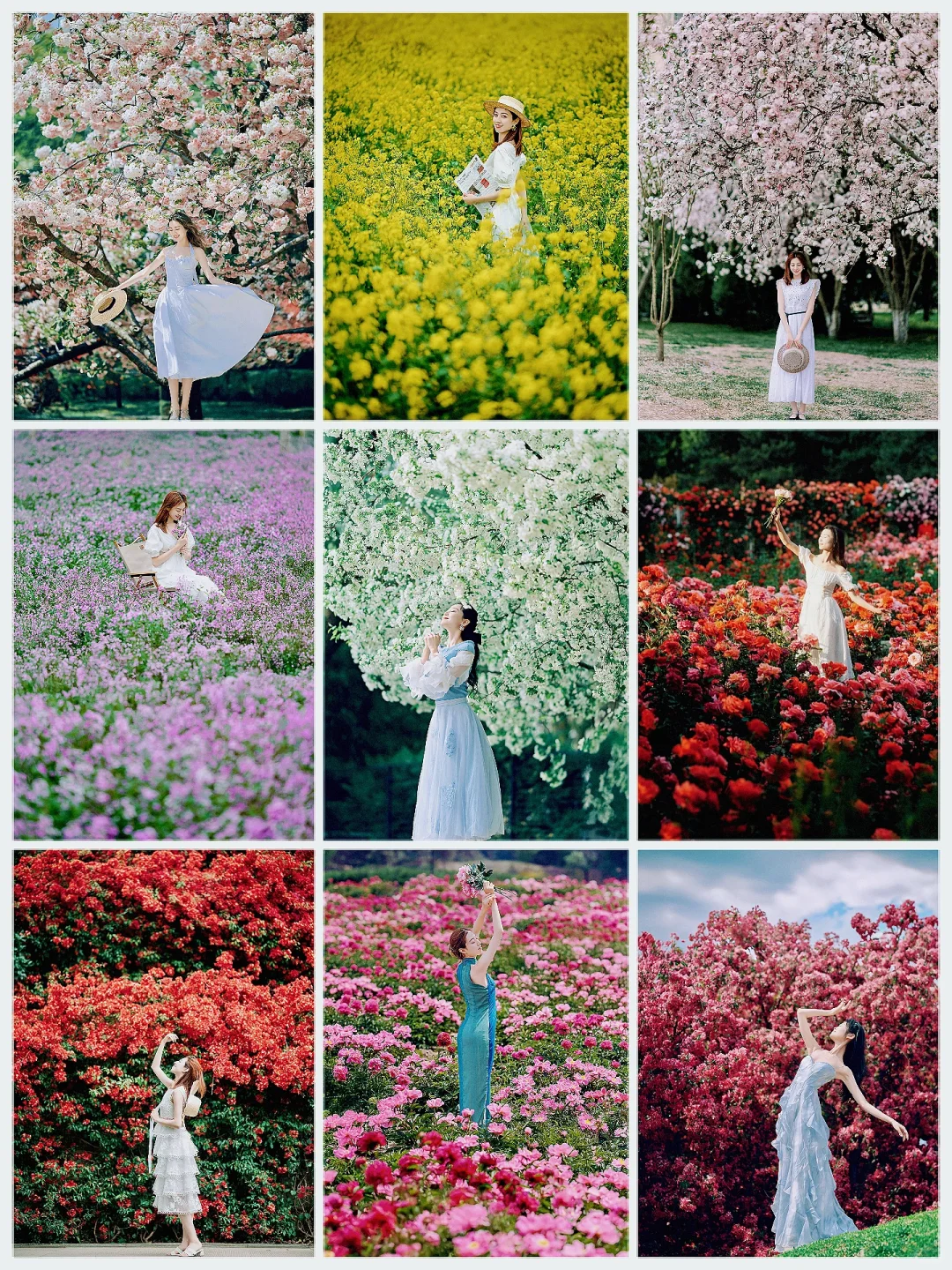 北京春天赏花必打卡18种绝美花海错过等一年