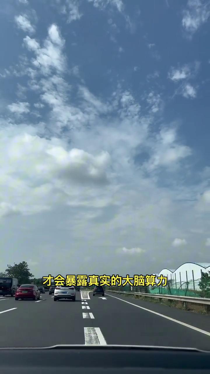 智商有多高？在他开高速的时候坐一次副驾就知道了。学历只能证明记忆力，开车的状态才