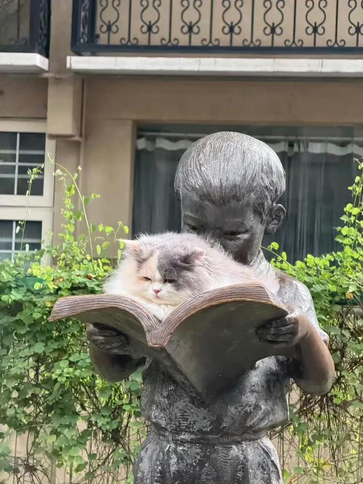 书中自有小猫咪 ​​​