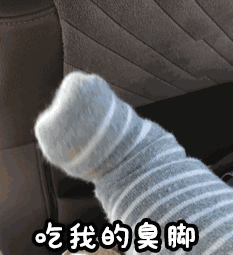 腿1腿细如竹竿，肉少贴骨下盘虚浮，容易失眠肠胃不适，心性敏感2大腿肉厚实圆润，小