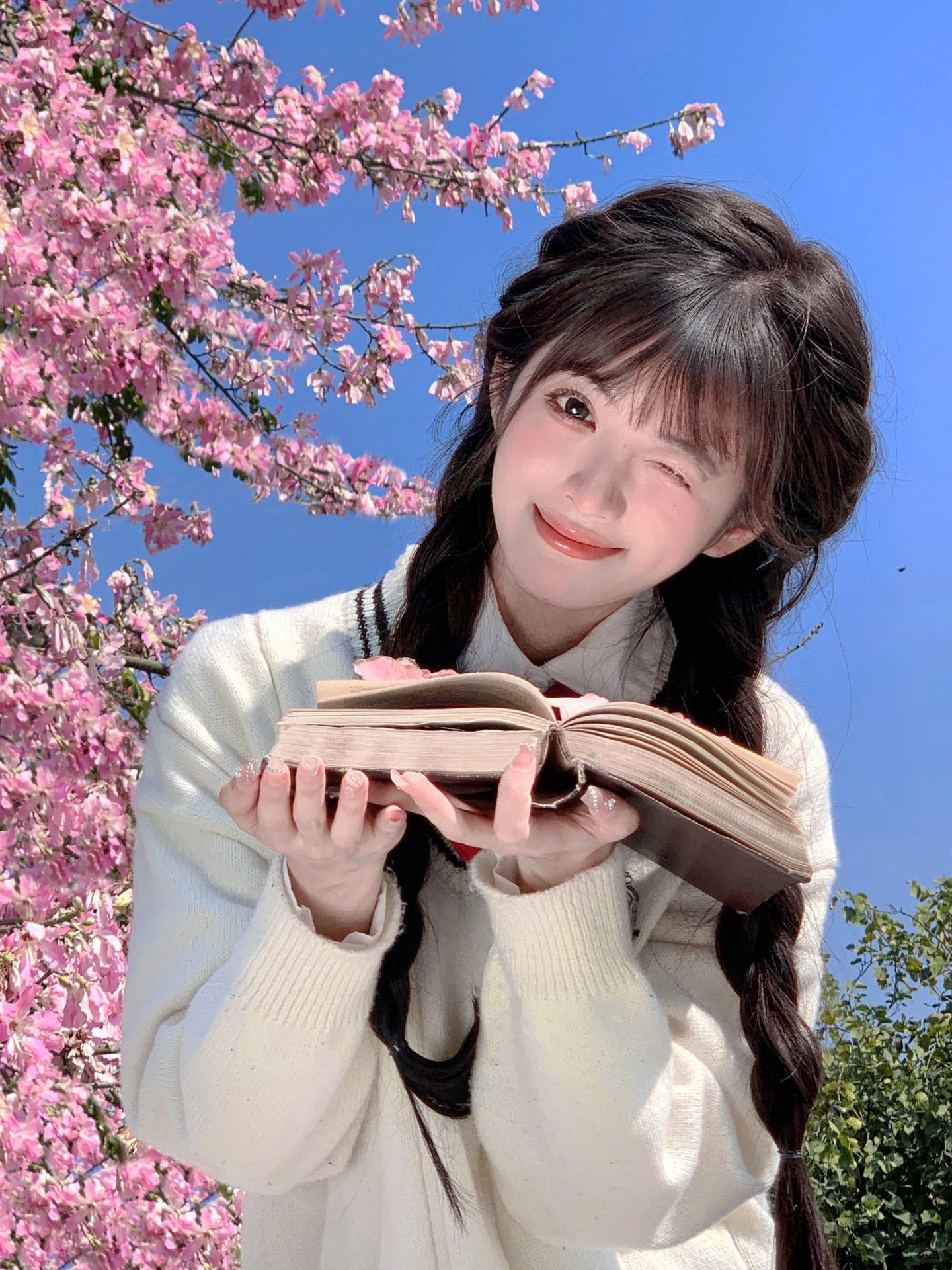 花开的时候见面吧🌸