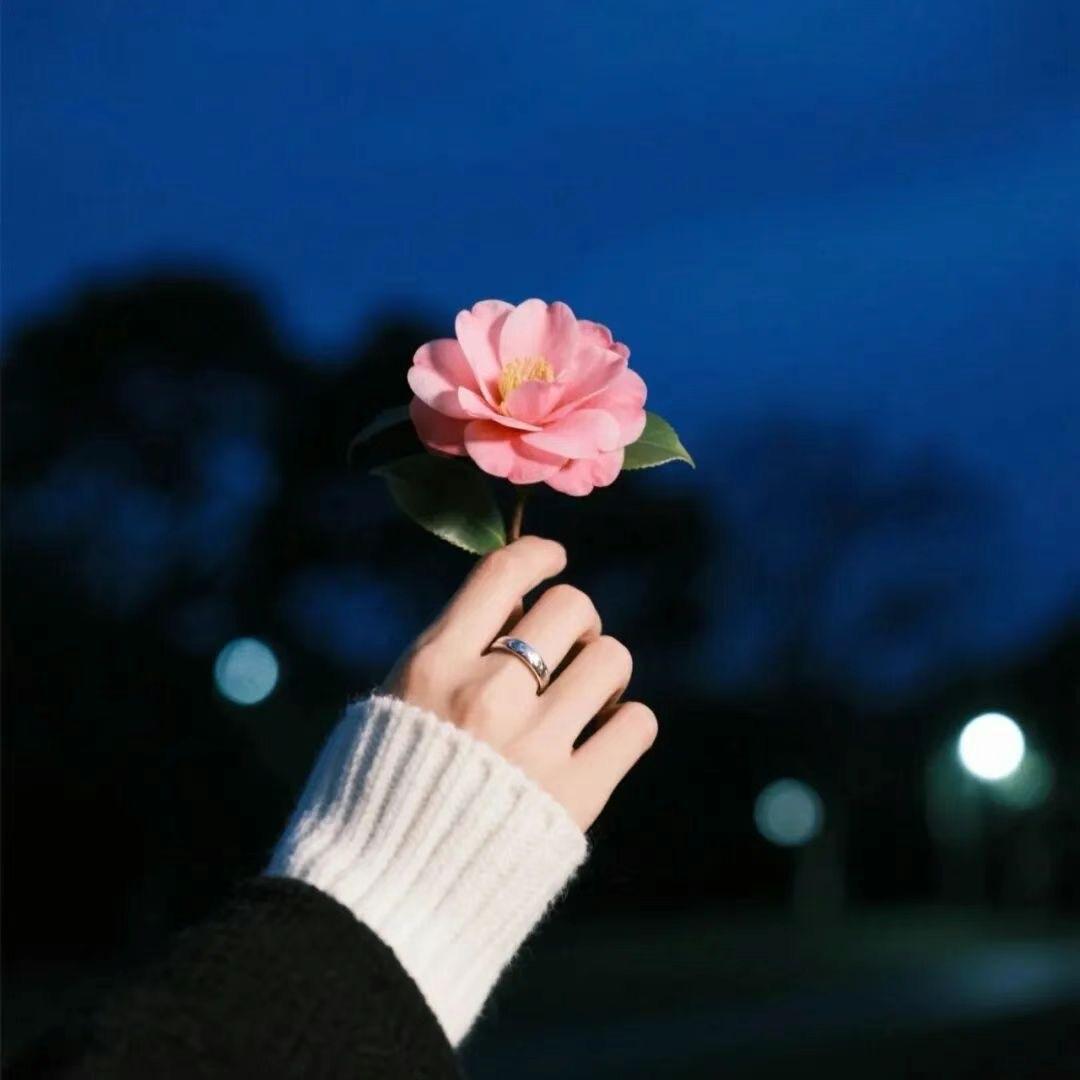 百般滋味自己尝，千种苦楚自己扛，万般委屈涌上心头，话到嘴边却不值一提人间的苦和难