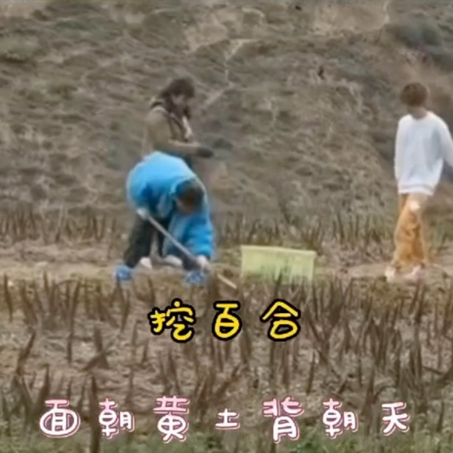 劳动最光荣虞书欣 种地吧