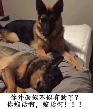 你外面似不似有狗了，你缩话啊，缩话啊 