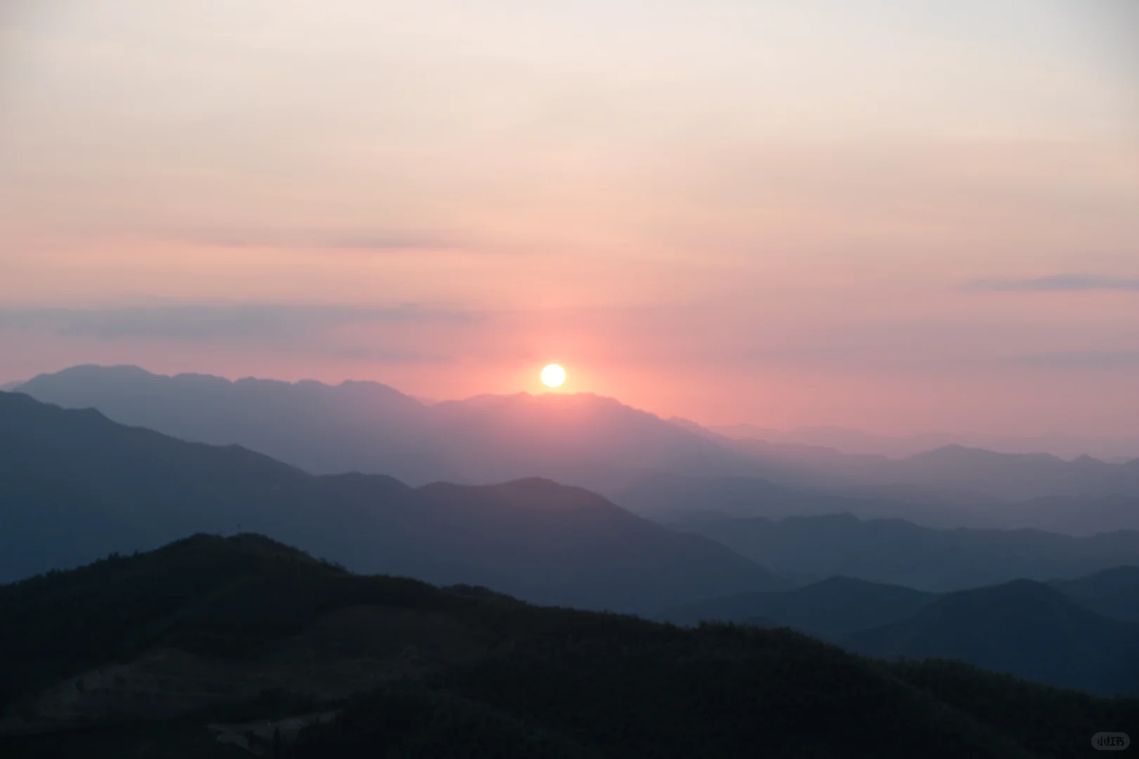 自由是和同频的人一起感受世界