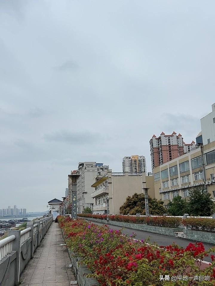 普通人应该遵循的一个规则就是，

如果你的父母很优秀，挺有成绩，那么你就应该听他